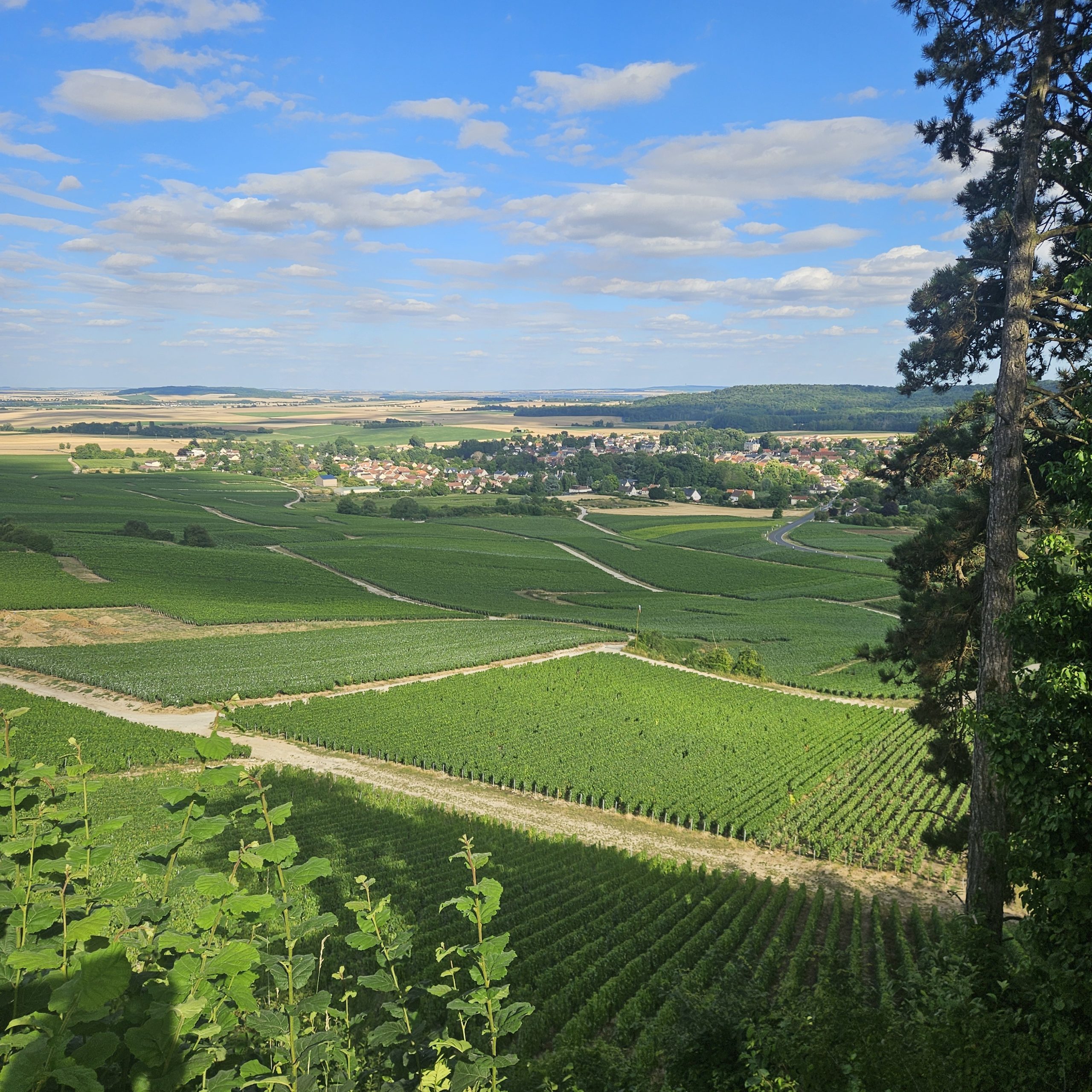 Yoga à Hermonville et Reims